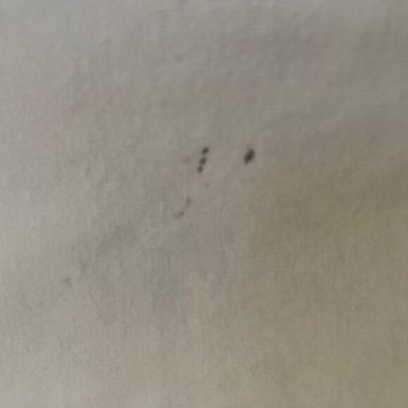 American Eagle Outfitters Two cami Bundle size XS - Picture 10 of 10